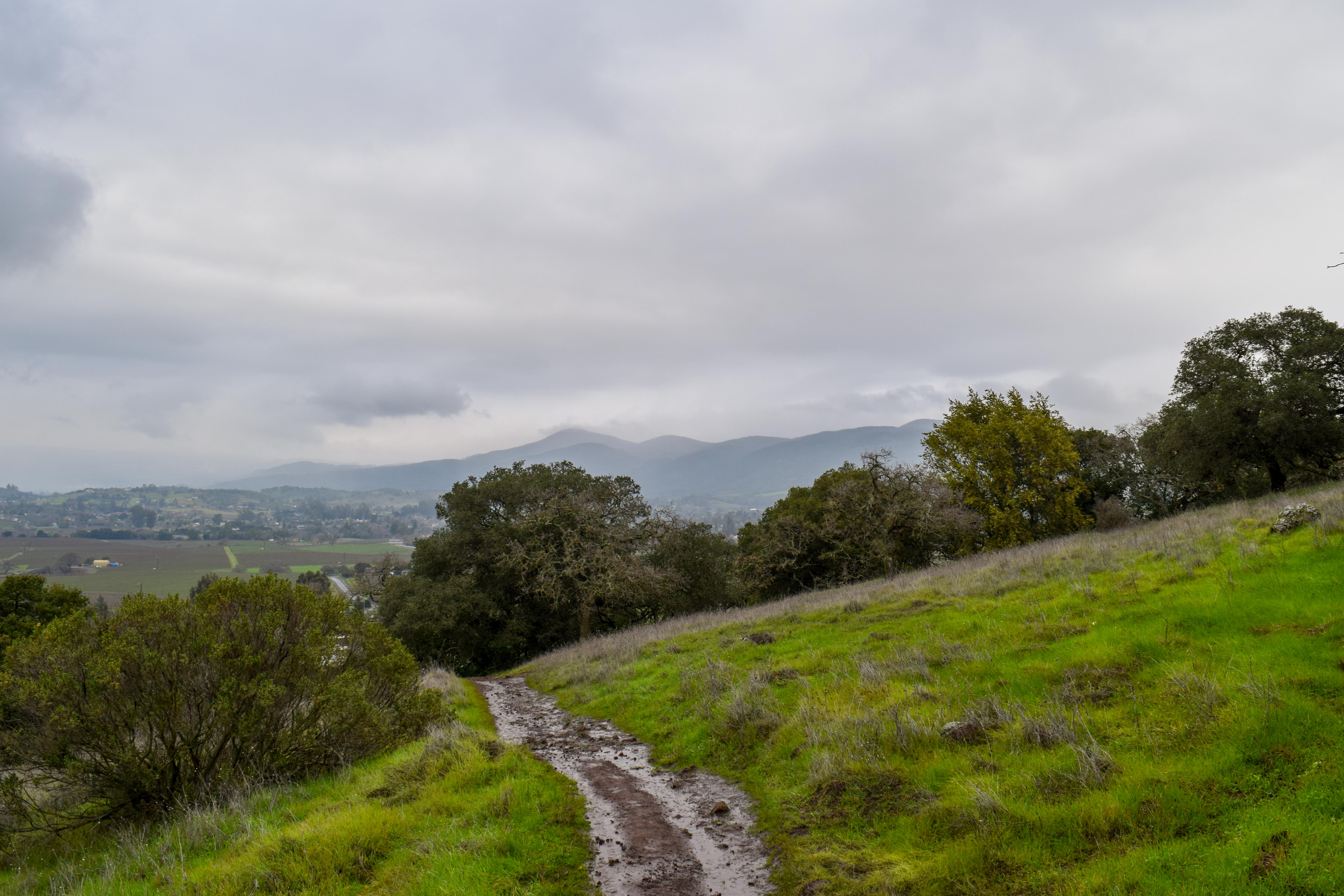 Hiking Into The Clouds Skyline Wilderness Park Napa Smiling In Sonoma 